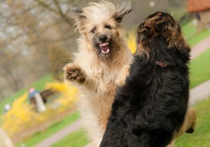 Fot. Anna Kleniewska