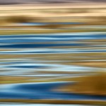 Fot. Adam Szczeniowski