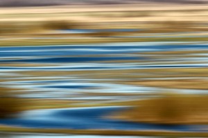 Fot. Adam Szczeniowski