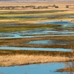 Fot. Adam Szczeniowski