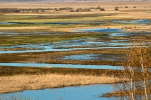 Fot. Adam Szczeniowski