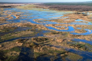 Fot. Adam Szczeniowski