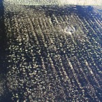 Fot. Adam Szczeniowski