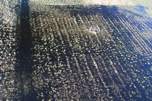 Fot. Adam Szczeniowski