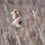 Fot. Agnieszka Twardawa