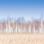 Fot. Agnieszka Twardawa