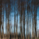 Fot. Agnieszka Twardawa