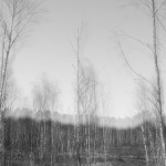 Fot. Agnieszka Twardawa