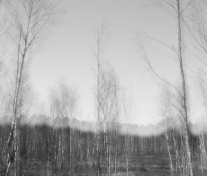 Fot. Agnieszka Twardawa