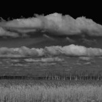 Fot. Agnieszka Twardawa