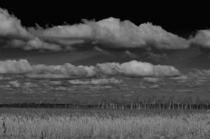 Fot. Agnieszka Twardawa