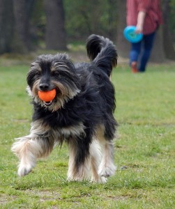 Fot. Dorota Woźniak