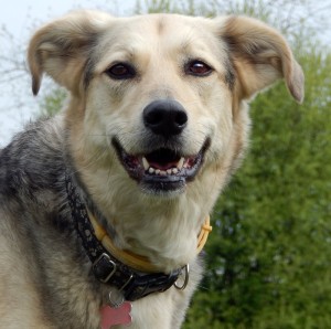 Fot. Dorota Woźniak