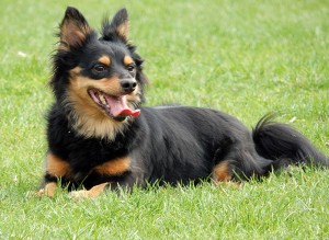 Fot. Dorota Woźniak