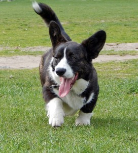 Fot. Dorota Woźniak