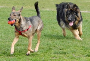 Fot. Dorota Woźniak