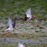 Fot. Emilia Zalewska