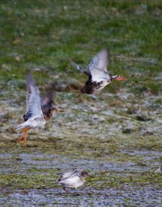 Fot. Emilia Zalewska