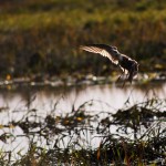 Fot. Emilia Zalewska