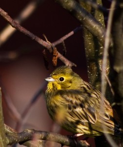 Fot. Emilia Zalewska