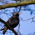 Fot. Emilia Zalewska