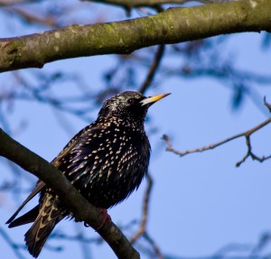 Fot. Emilia Zalewska