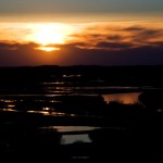 Fot. Emilia Zalewska