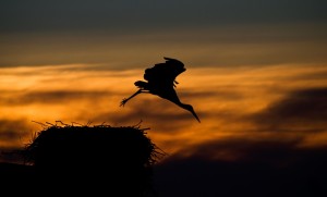 Fot. Emilia Zalewska