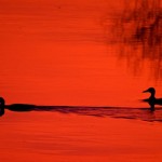 Fot. Emilia Zalewska