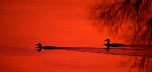 Fot. Emilia Zalewska