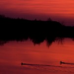 Fot. Emilia Zalewska