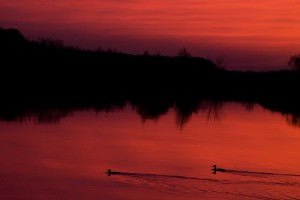 Fot. Emilia Zalewska