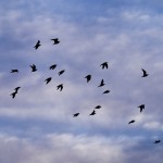 Fot. Emilia Zalewska