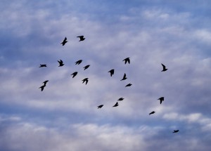 Fot. Emilia Zalewska