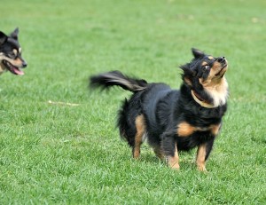 Fot. Małgorzata Kowalska