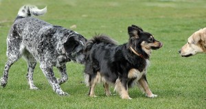 Fot. Małgorzata Kowalska