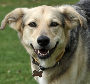 Fot. Małgorzata Kowalska