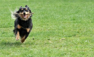 Fot. Małgorzata Kowalska