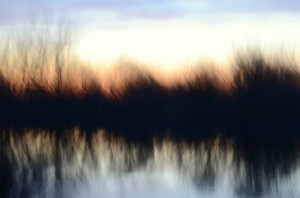 Fot. Karolina Mokrzycka