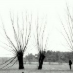 Fot. Karolina Mokrzycka