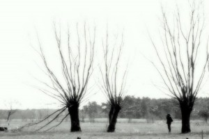 Fot. Karolina Mokrzycka