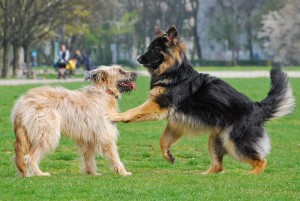 Fot. Marta Danowska-Kisiel