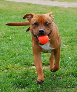 Fot. Marta Danowska-Kisiel