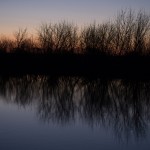 Fot. Przemysław Kwaśny