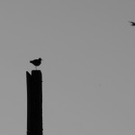 Fot. Przemysław Kwaśny