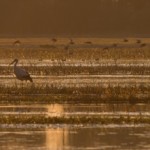 Fot. Przemysław Kwaśny