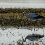 Fot. Przemysław Kwaśny