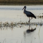 Fot. Przemysław Kwaśny