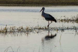 Fot. Przemysław Kwaśny