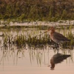 Fot. Renata Zwięglińska